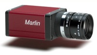 Marlin F-033